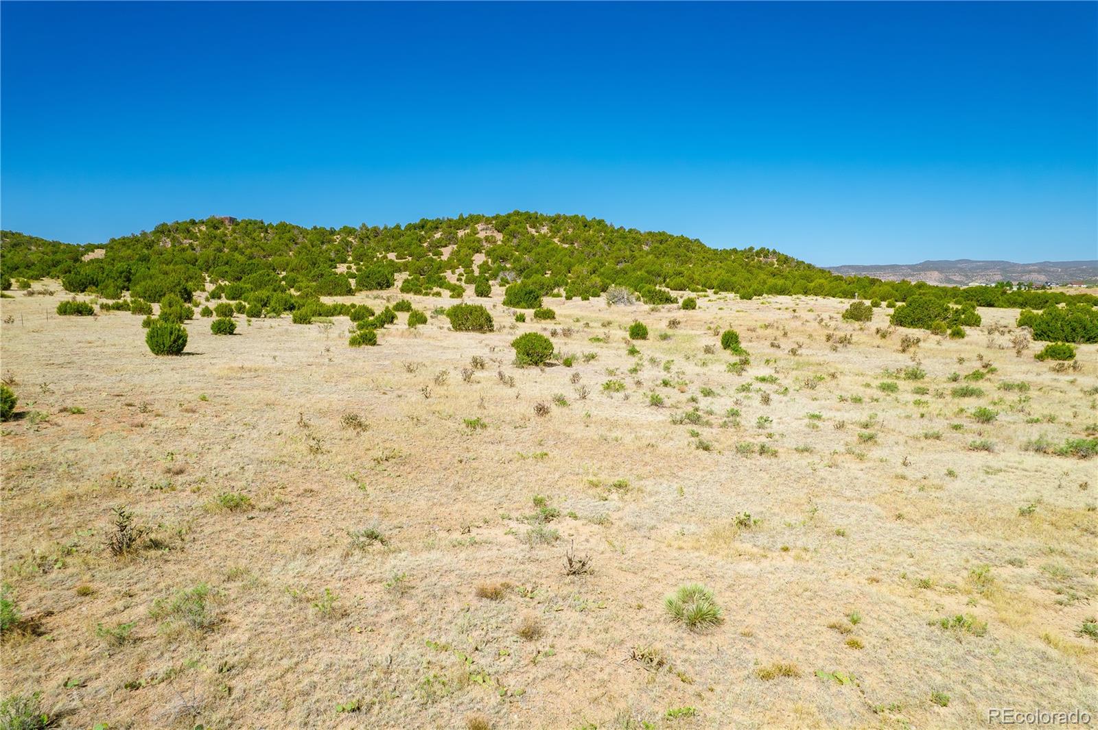 37300 Kunzite Road Trinidad, CO 81082 - Photo 13 of 35