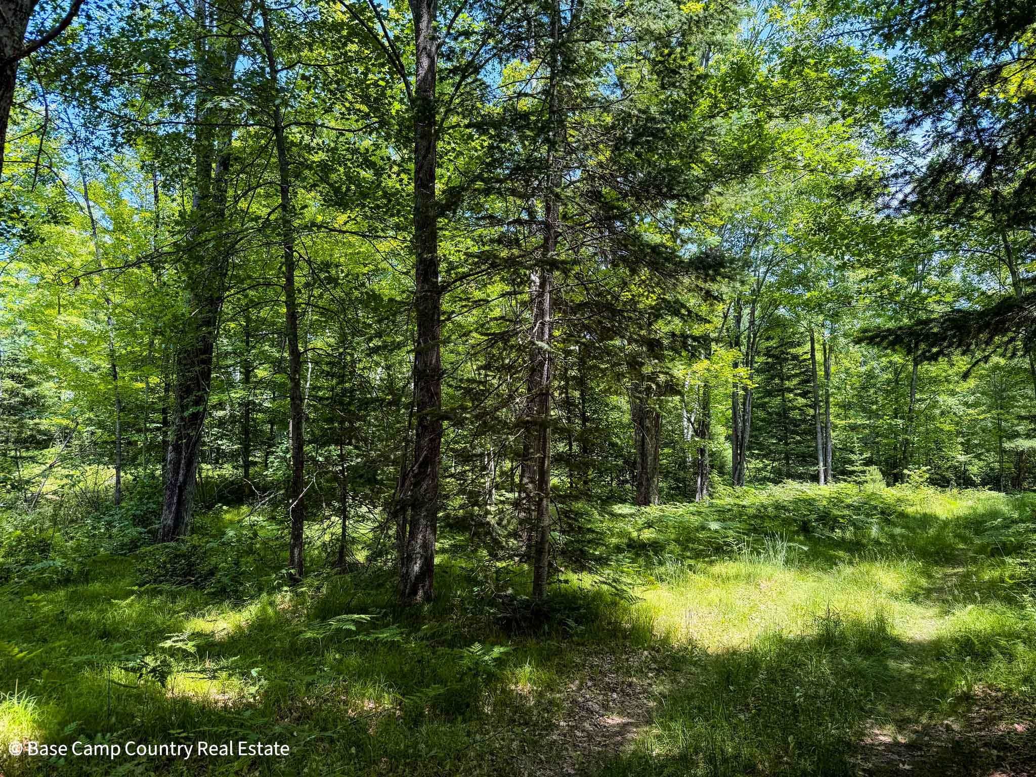 East Bass Lake Road Townsend, WI 54175 - Photo 6 of 31