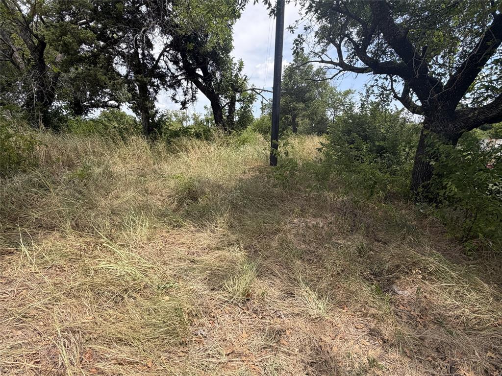 Tbd Upper Montague Road Bowie, TX 76230 - Photo 6 of 9 Undeveloped land featuring mature trees and natural vegetation