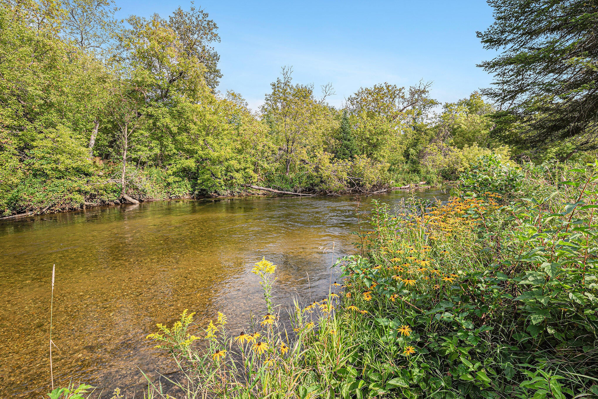 5477 Schultz Road Indian River, MI 49749 - Photo 10 of 72 Gallery Image 10