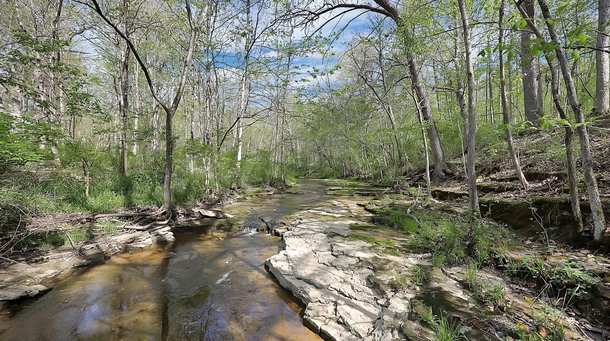 6635 Home Road Delaware, OH 43015 - Photo 44 of 47 Scenic creek