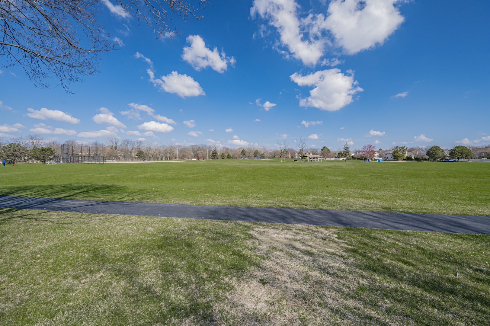 6352 New Albany Road Lisle, IL 60532 - Photo 60 of 60 Gallery Image 60