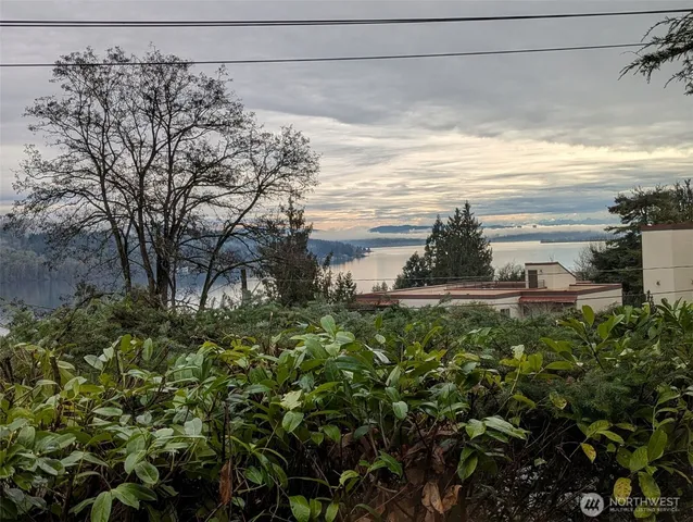 a view of a yard with plants and a building