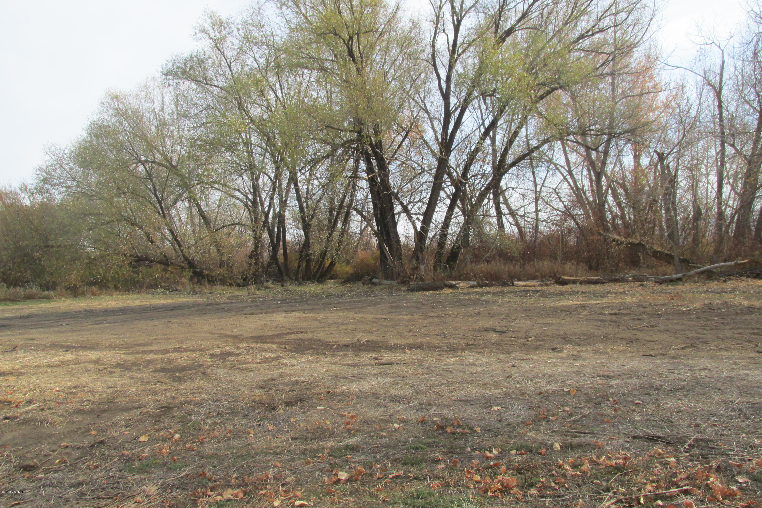 15160 Ahtanum Road Yakima, WA 98903 - Photo 16 of 17 a view of dirt field with trees
