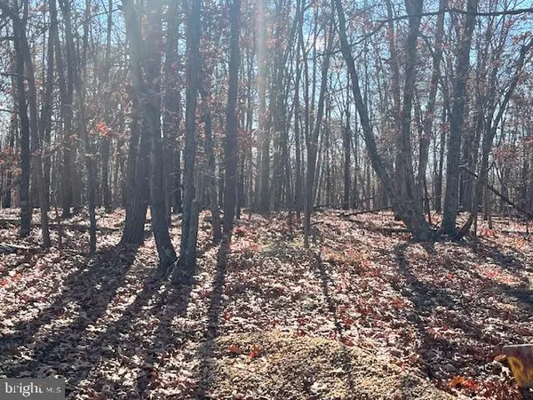 $88,500 | 0 Three Oaks Lane, Gore, VA 22637