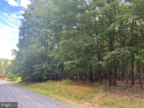 $88,500 | 0 Three Oaks Lane, Gore, VA 22637