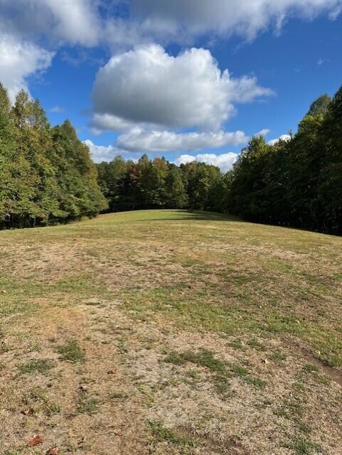 23875 Mathias Road South Bloomingville, OH 43152 - Photo 16 of 89 thumbnail_IMG_8816