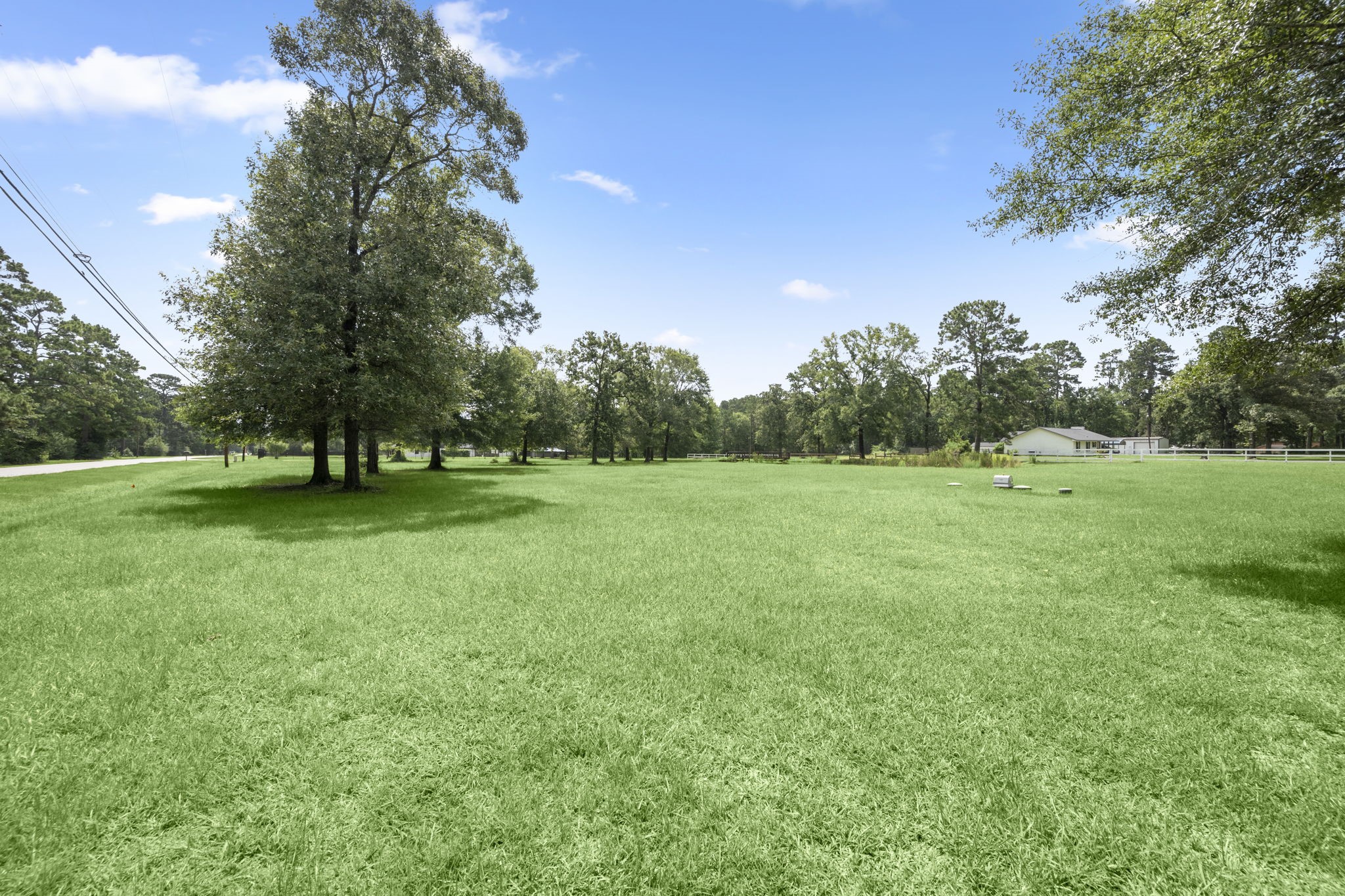 10871 Coaster Lane Conroe, TX 77306 - Photo 33 of 37 Just a little over 2.7 acres pre survey. Look at this beautiful acrage.