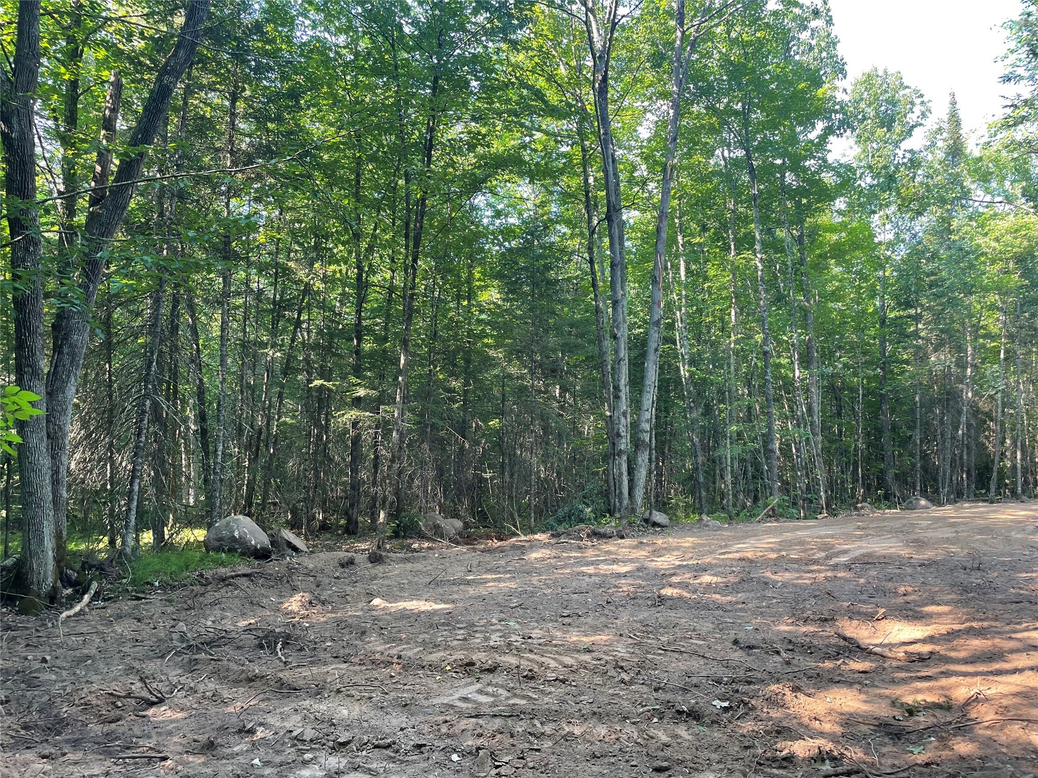 Lot 4 Uncle Toms Road Winter, WI 54896 - Photo 13 of 19 Gallery Image 13