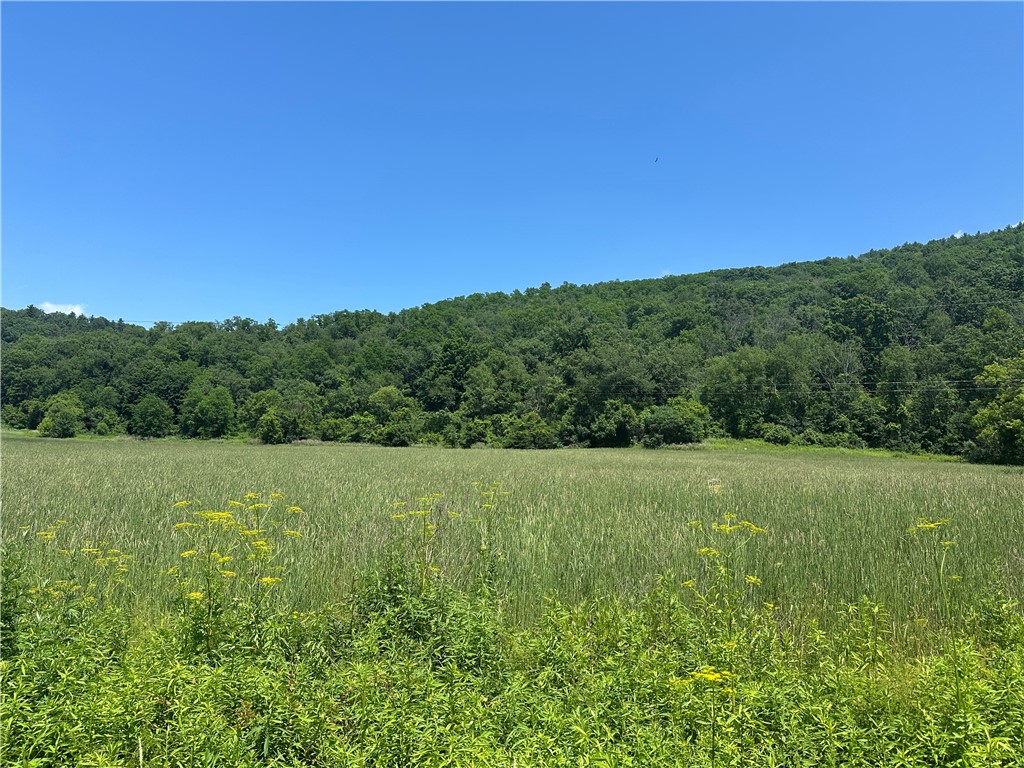 0 County Route 119 Addison, NY 14801 - Photo 2 of 2