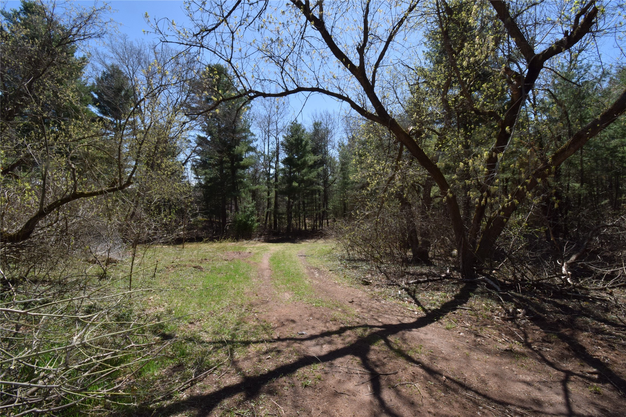 23376 Nyberg Road Siren, WI 54872 - Photo 37 of 60