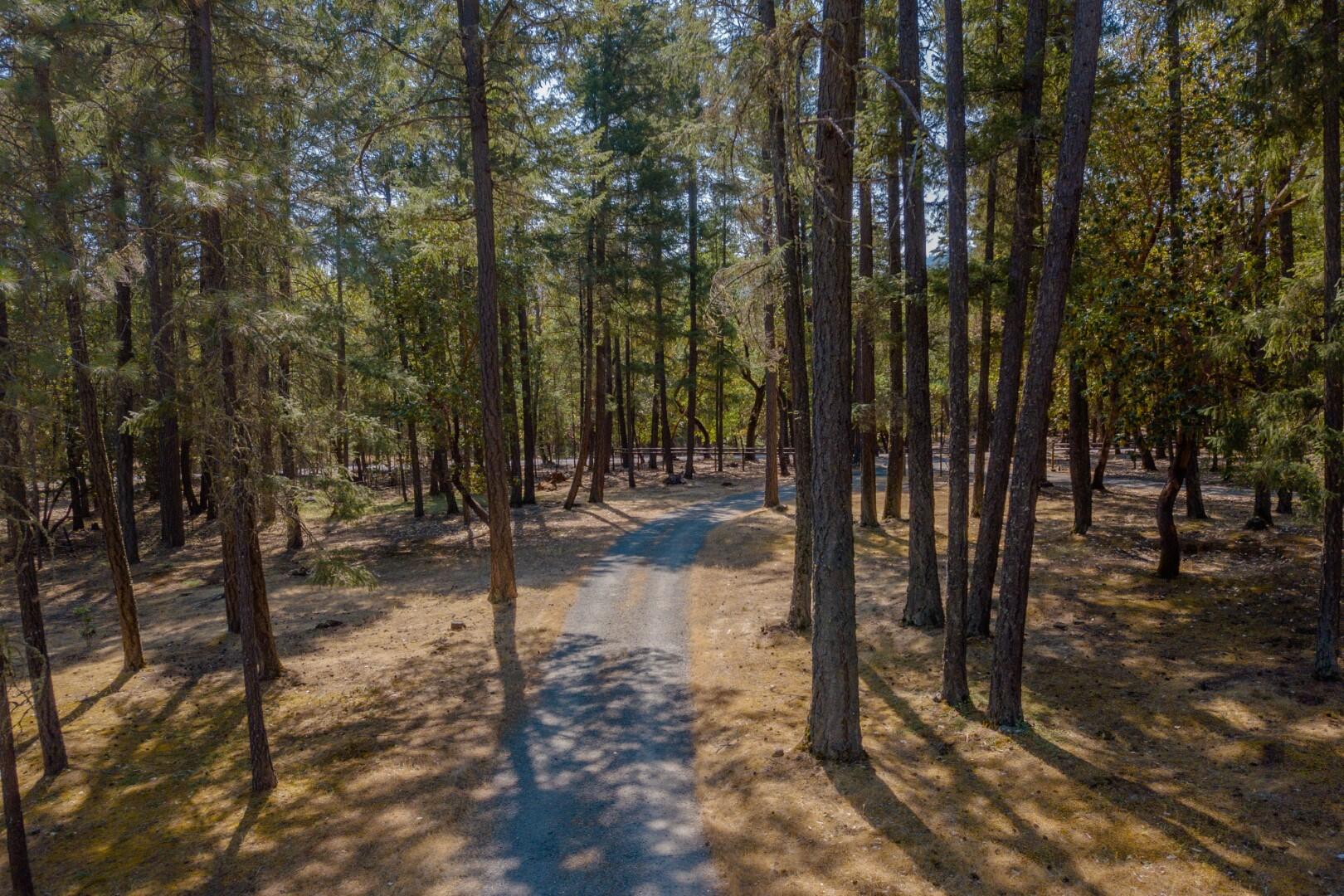 1111 Powell Creek Road Williams, OR 97544 - Photo 80 of 85 DJI_0095