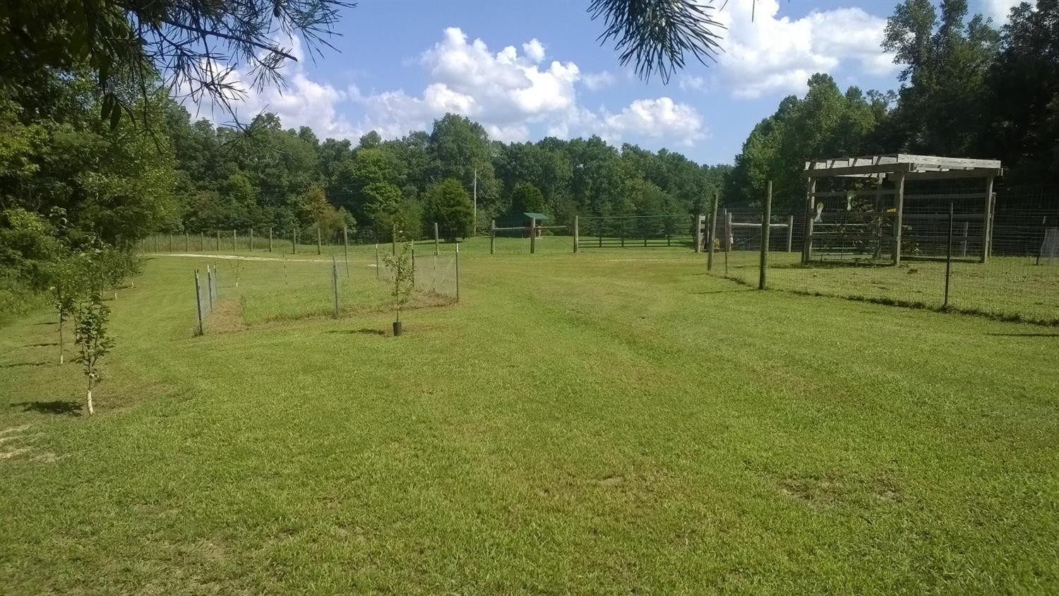 4676 Amos Ridge Road Frenchburg, KY 40322 - Photo 10 of 38 Photo 10