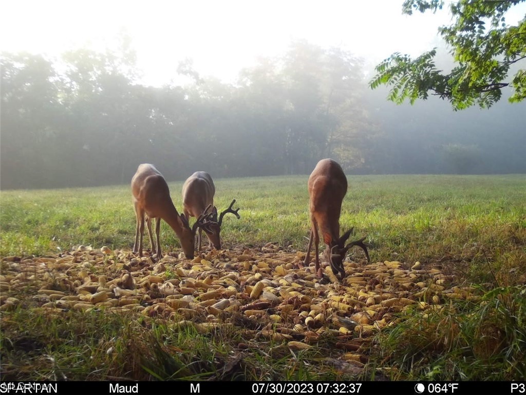 Sycamore Road Quaker City, OH 43773 - Photo 3 of 27