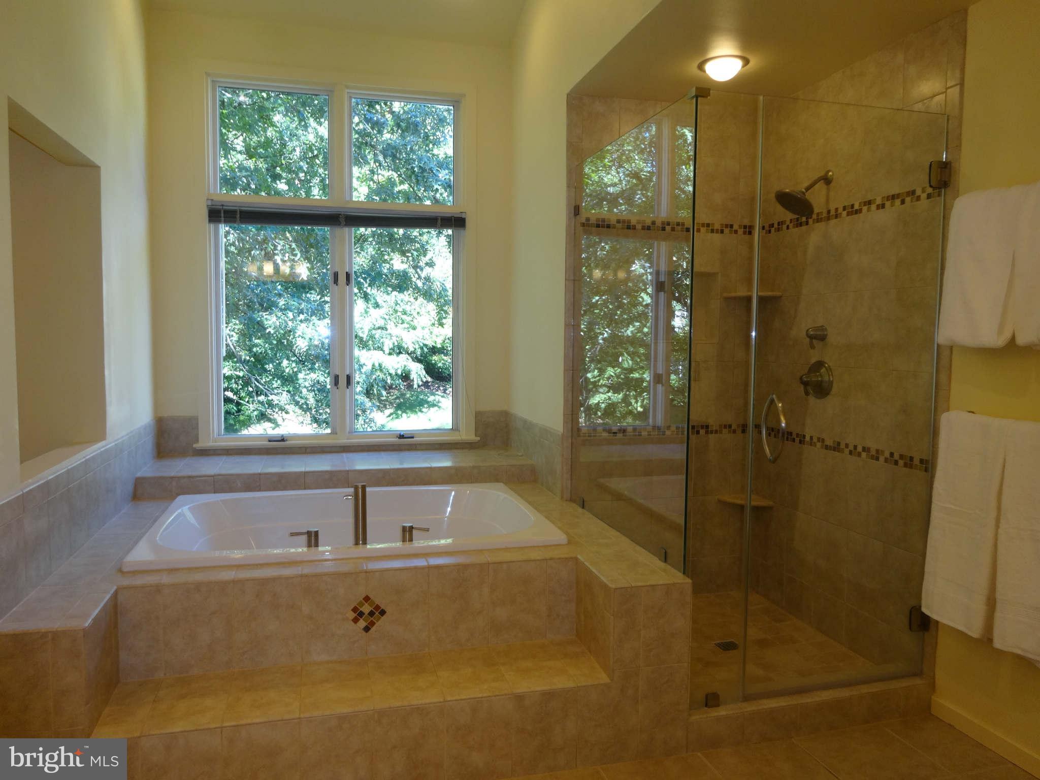 12004 North Walnut Branch Road Reston, VA 20194 - Photo 20 of 29 Bedroom (Master)