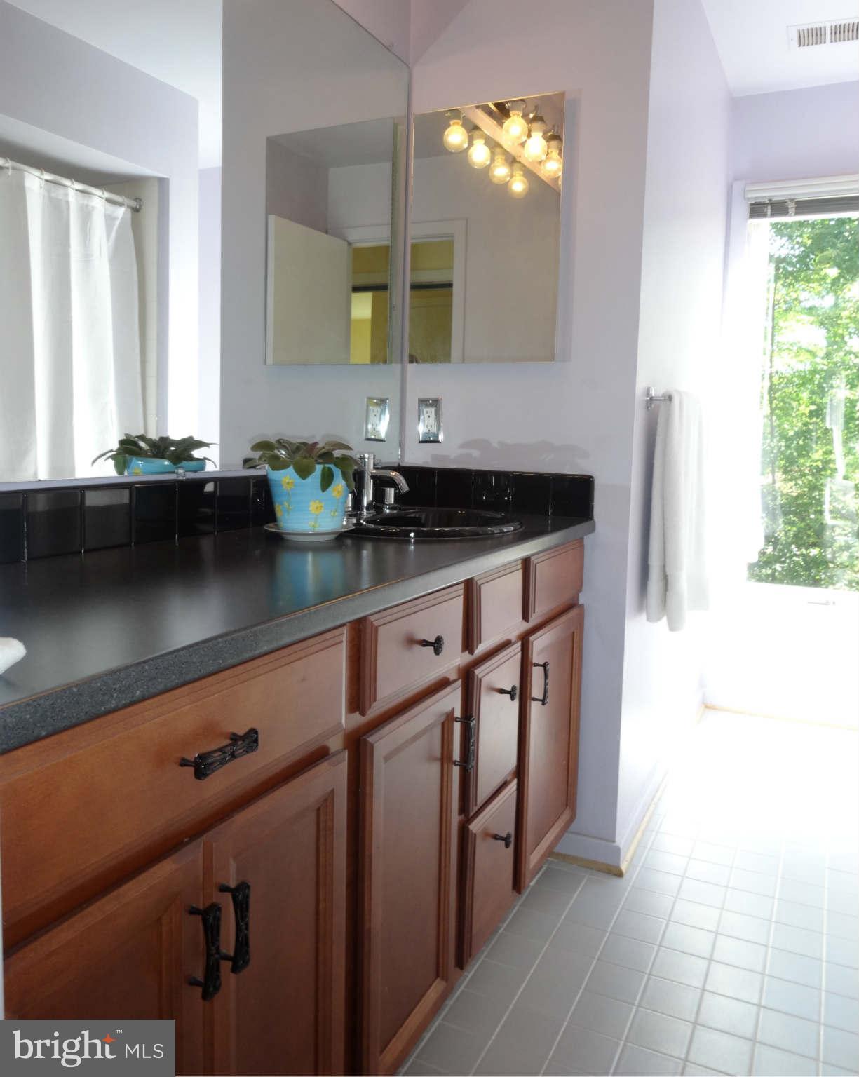 12004 North Walnut Branch Road Reston, VA 20194 - Photo 26 of 29 Bath
