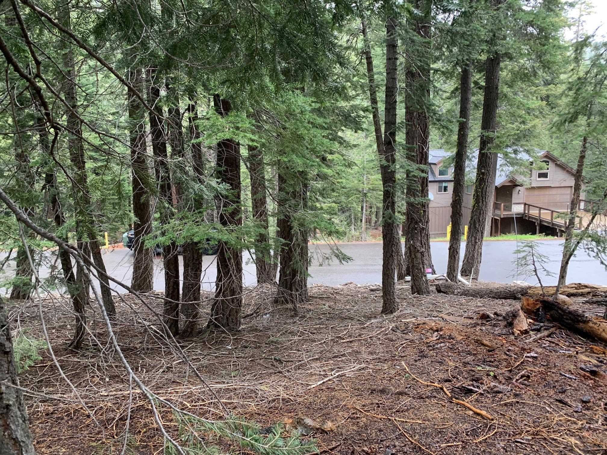 1187 Regency Way Tahoe Vista, CA 96148 - Photo 11 of 11