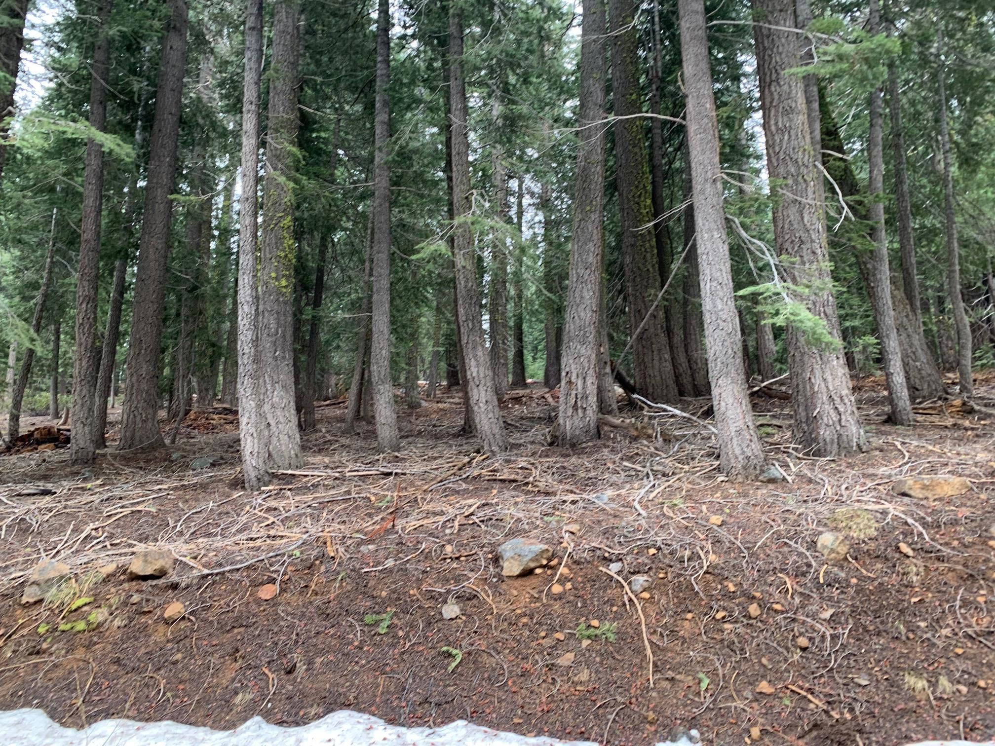 1187 Regency Way Tahoe Vista, CA 96148 - Photo 6 of 11