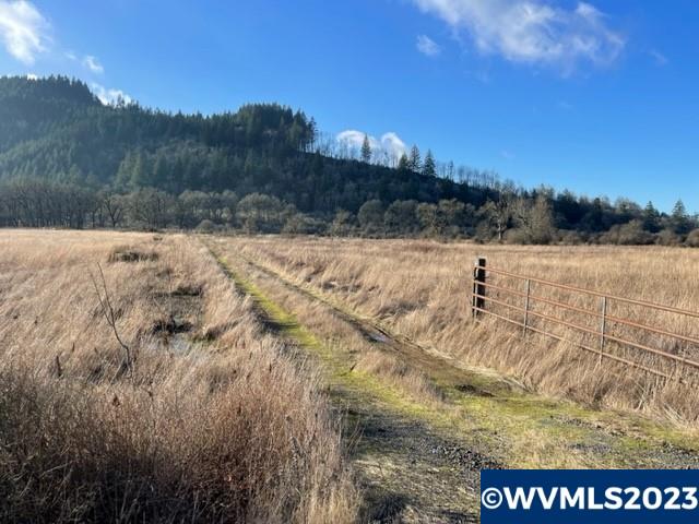 Tl # 844341 Richardson Gap Road Scio, OR 97374 - Photo 1 of 14