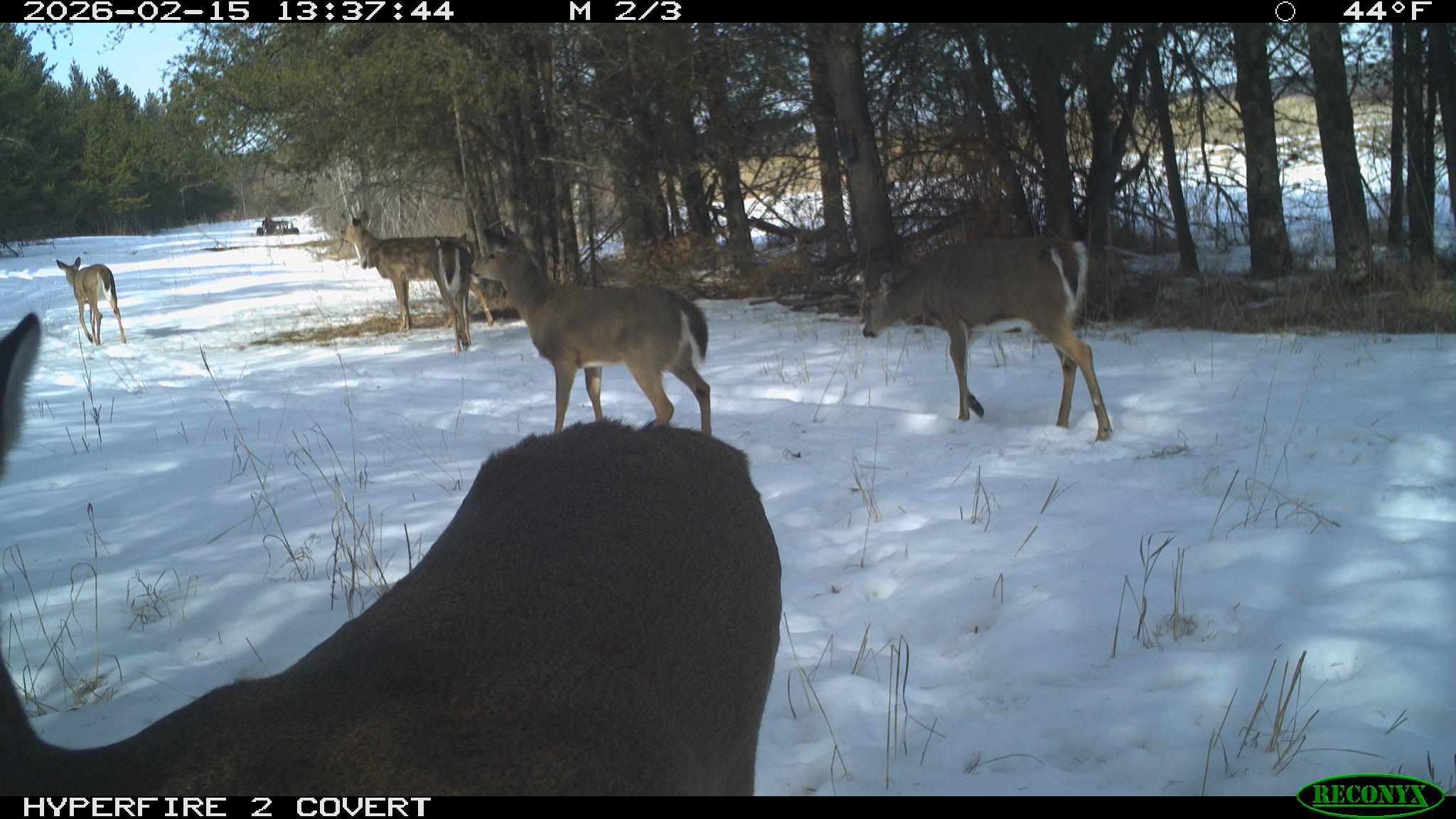 Tbd 96th Street Southwest Motley, MN 56466 - Photo 58 of 80 Gallery Image 58