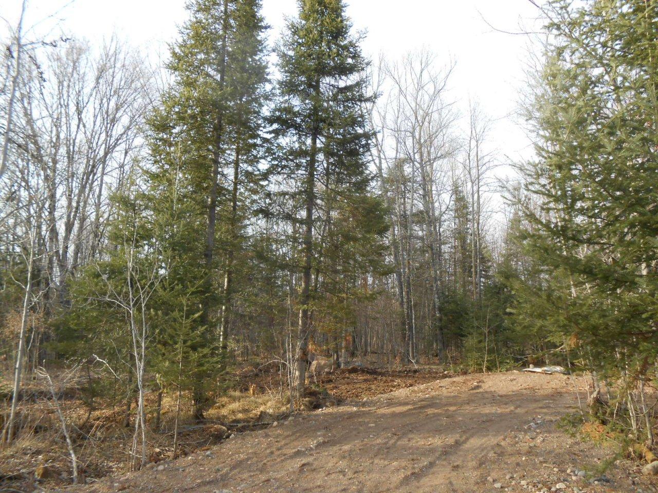 76424 Weinberger Road Butternut, WI 54514 - Photo 7 of 11 Gallery Image 7