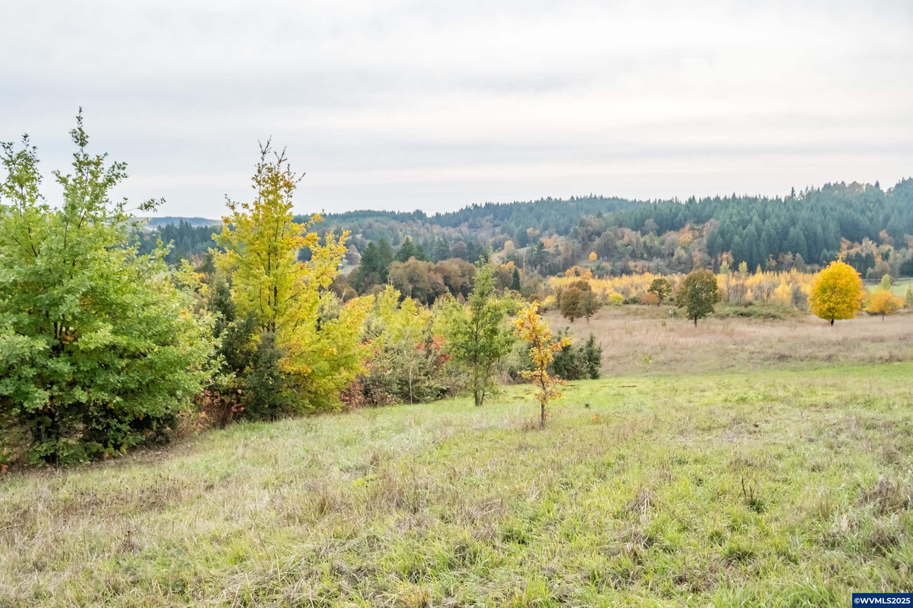 2535 Liberty Road Dallas, OR 97338 - Photo 29 of 50