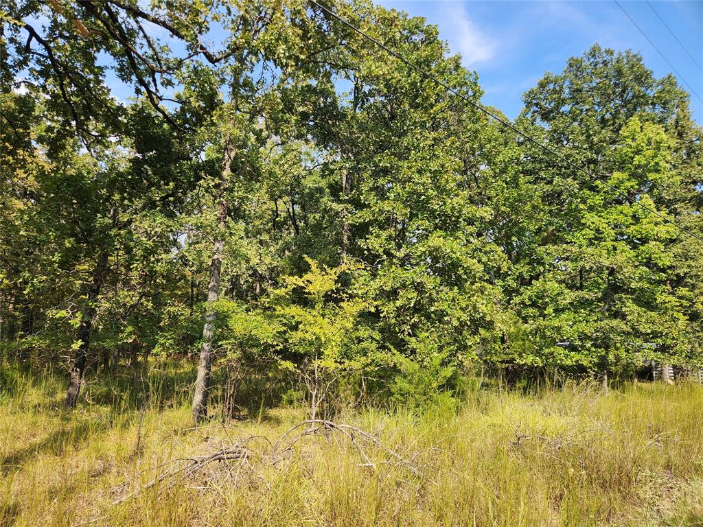 Lot 31 Fox Point Road Quinlan, TX 75474 - Photo 4 of 8 a view of a lake