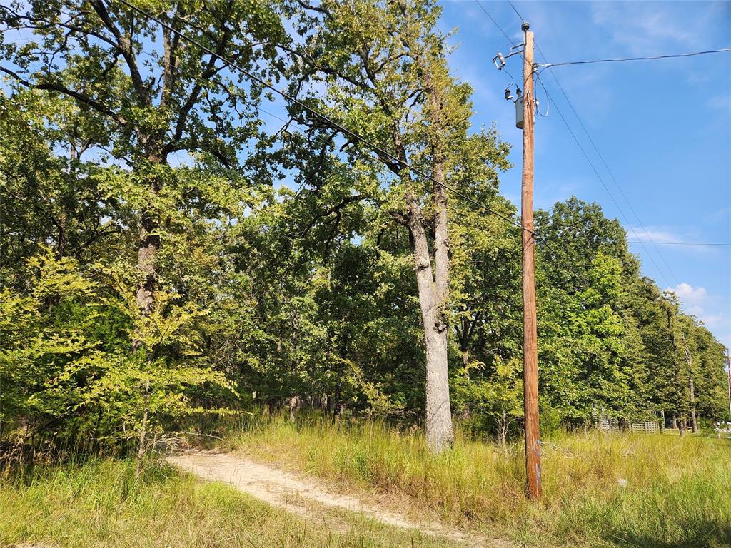 Lot 31 Fox Point Road Quinlan, TX 75474 - Photo 6 of 8 a view of a lake