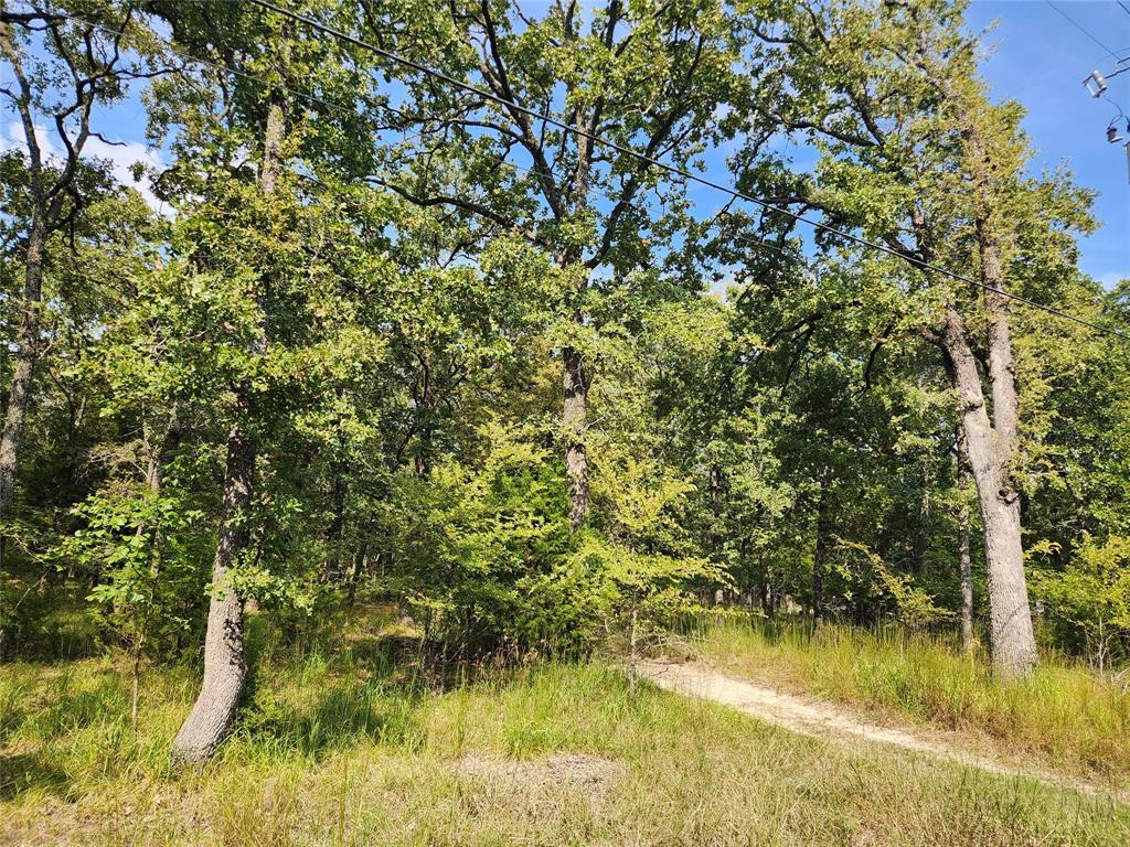 Lot 31 Fox Point Road Quinlan, TX 75474 - Photo 7 of 8 a view of a yard