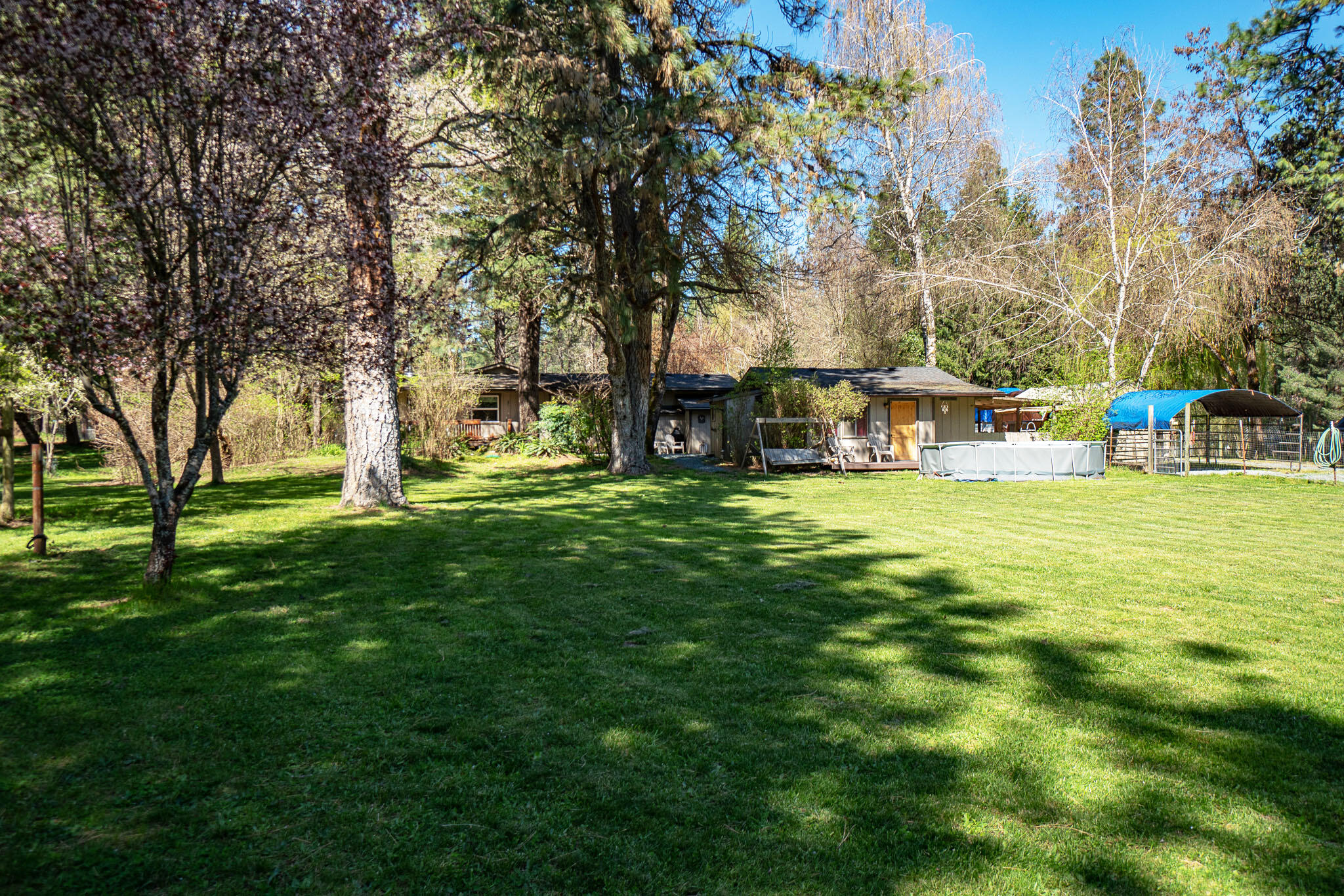 1035 Minthorne Road Rogue River, OR 97537 - Photo 33 of 41 Pasture2_DSC04004-HDR