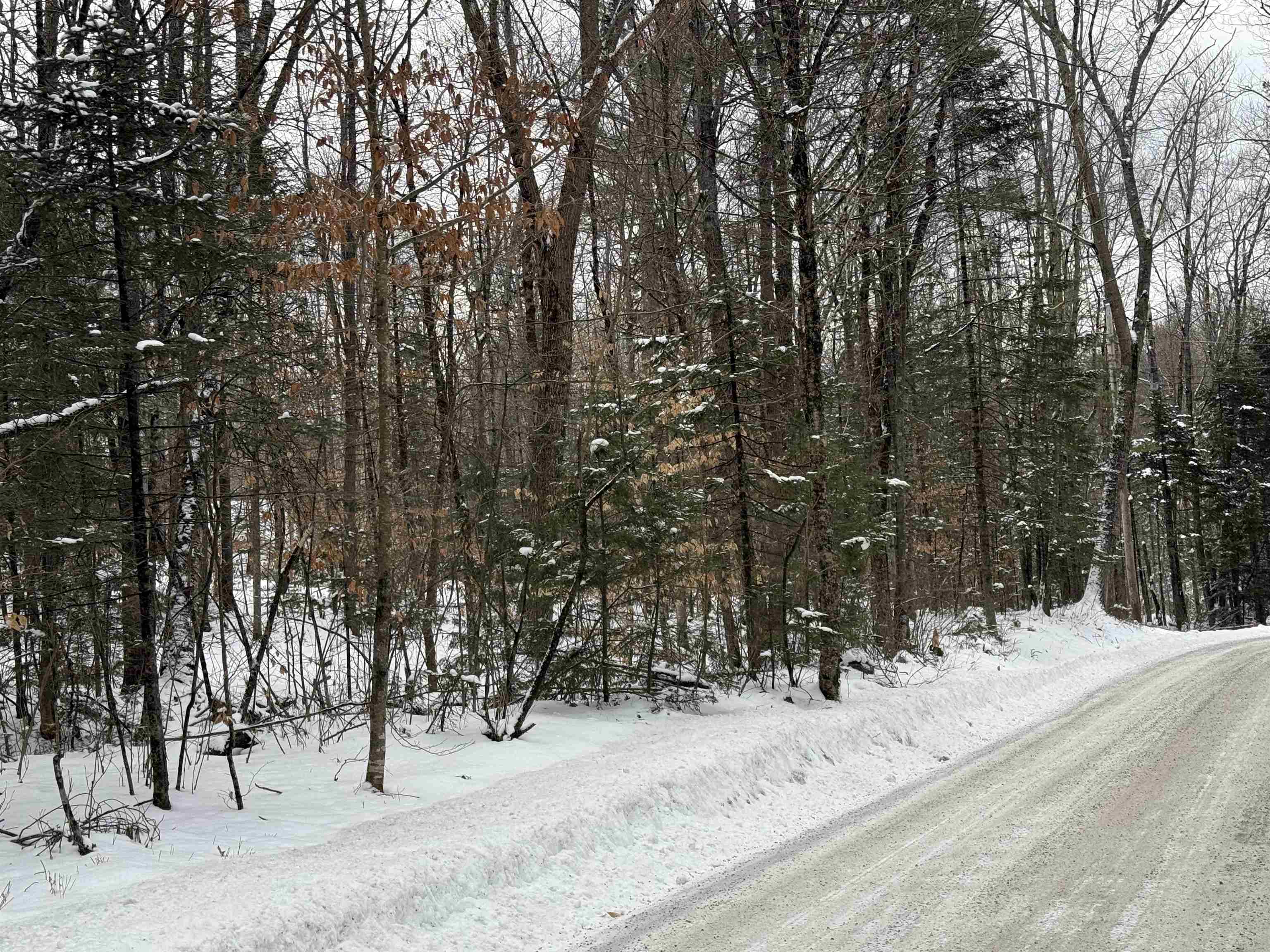 Boys Camp Road Enfield, NH 03748 - Photo 14 of 33