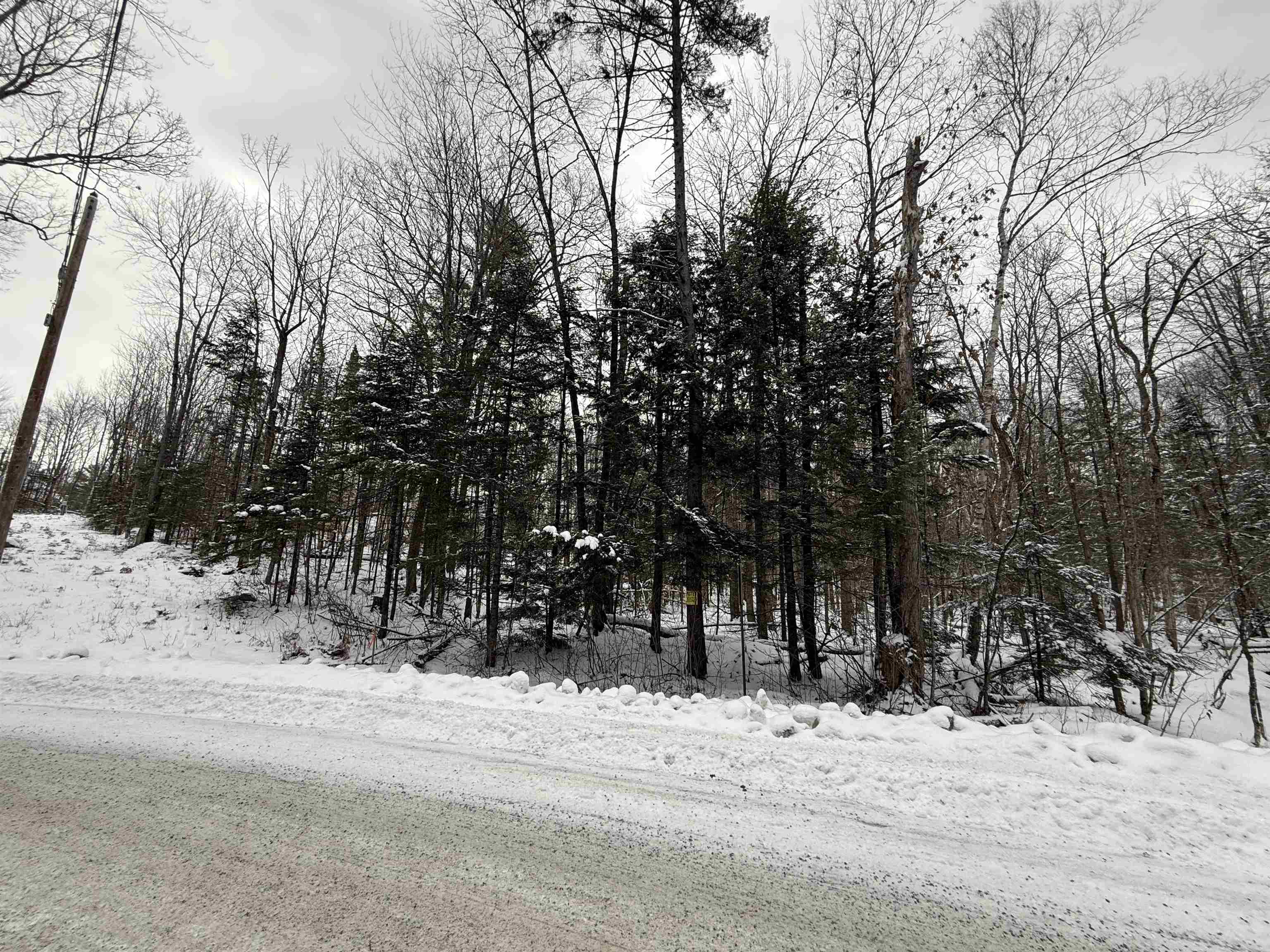 Boys Camp Road Enfield, NH 03748 - Photo 15 of 33
