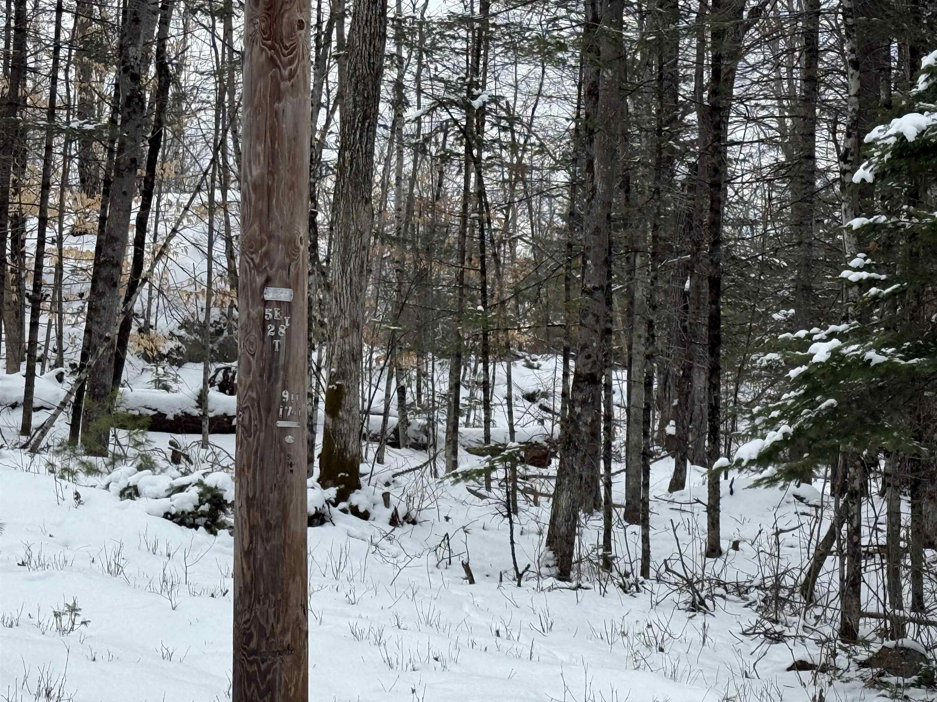 Boys Camp Road Enfield, NH 03748 - Photo 17 of 33