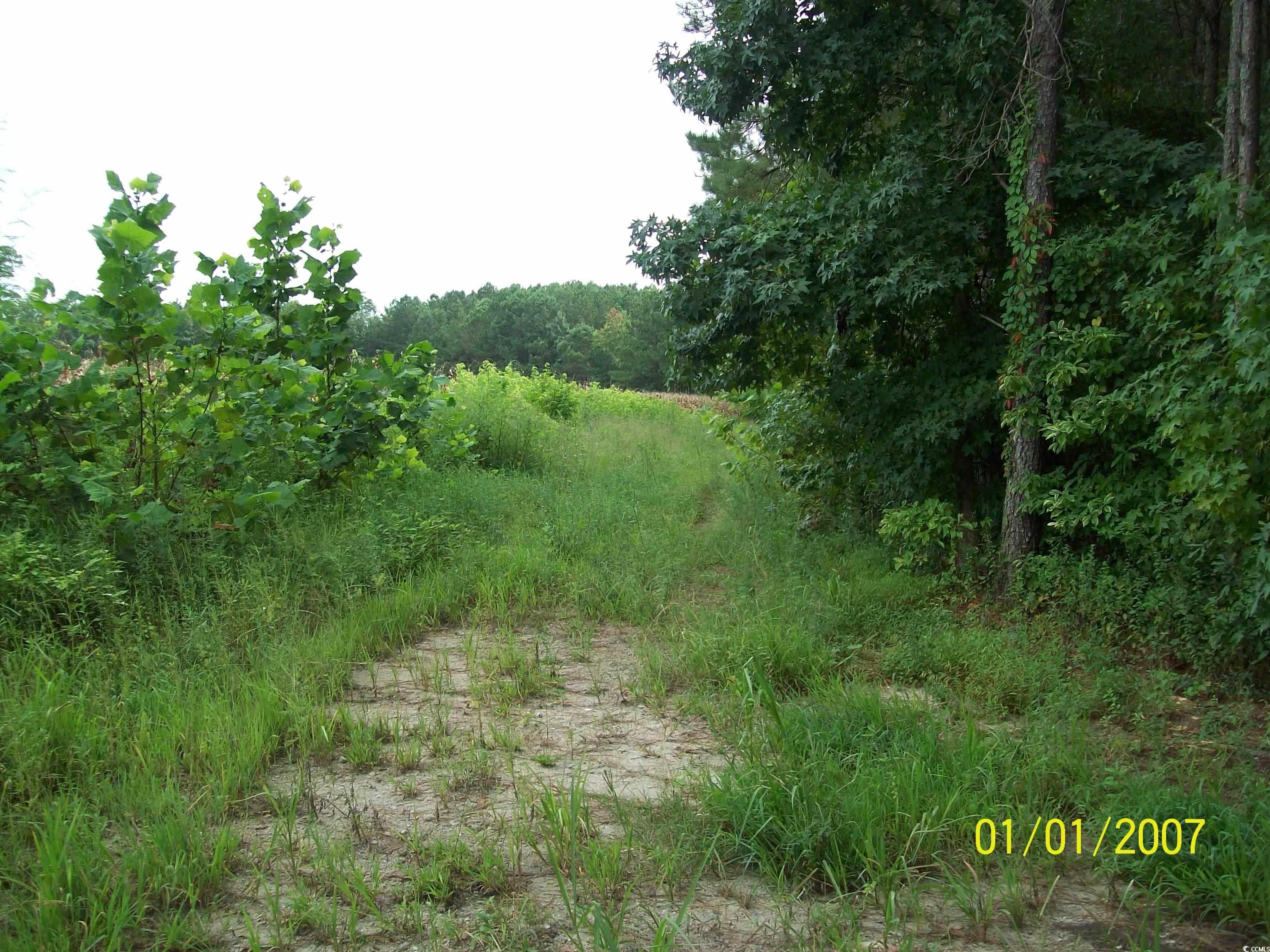 Lot 3 Riverbend Road Loris, SC 29569 - Photo 1 of 1 Gallery Image 1