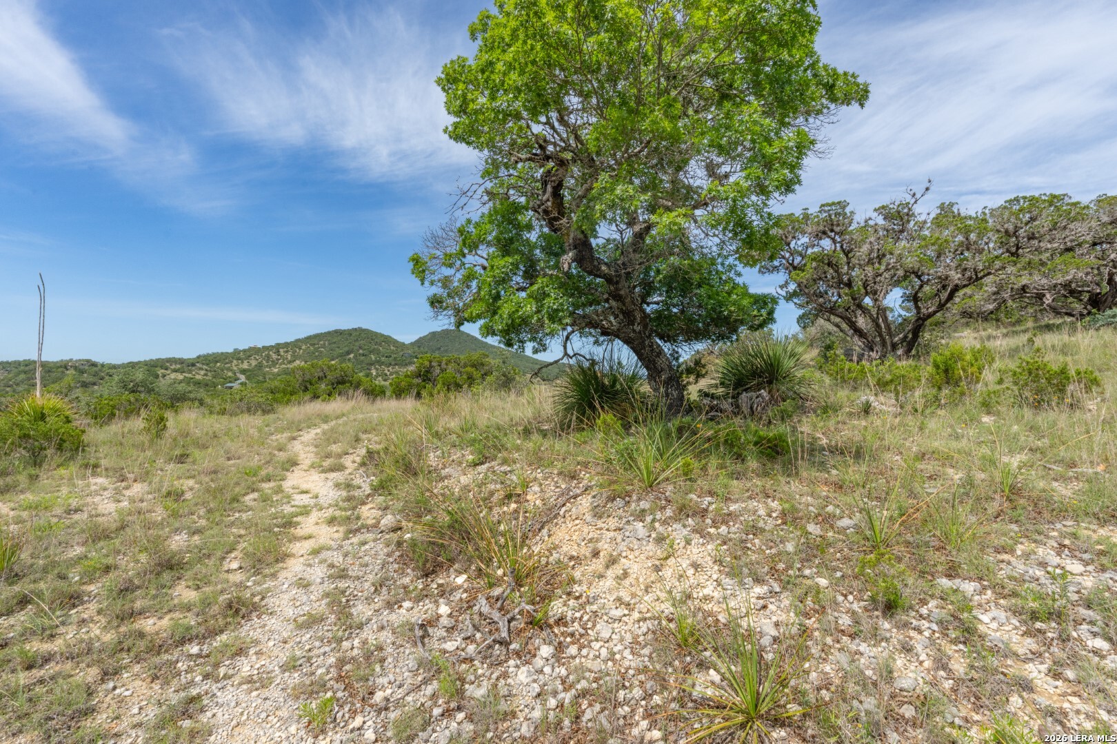 447 Blessing Lane Utopia, TX 78884 - Photo 49 of 50