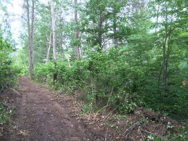 Lot B Hidden Waters Road Tomahawk, WI 54487 - Photo 13 of 15 Gallery Image 13