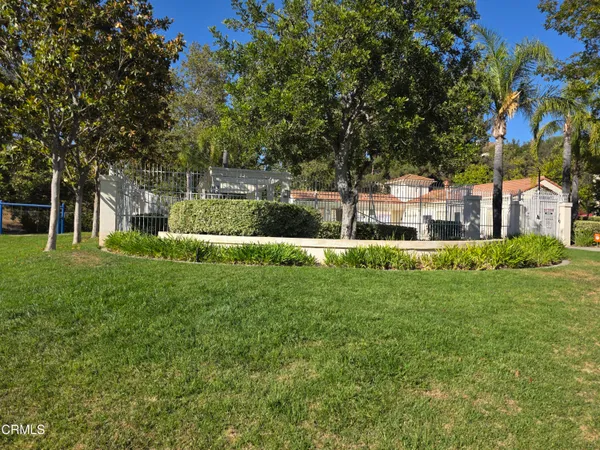 a garden with palm trees