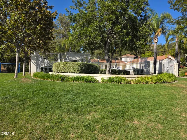 a garden with palm trees