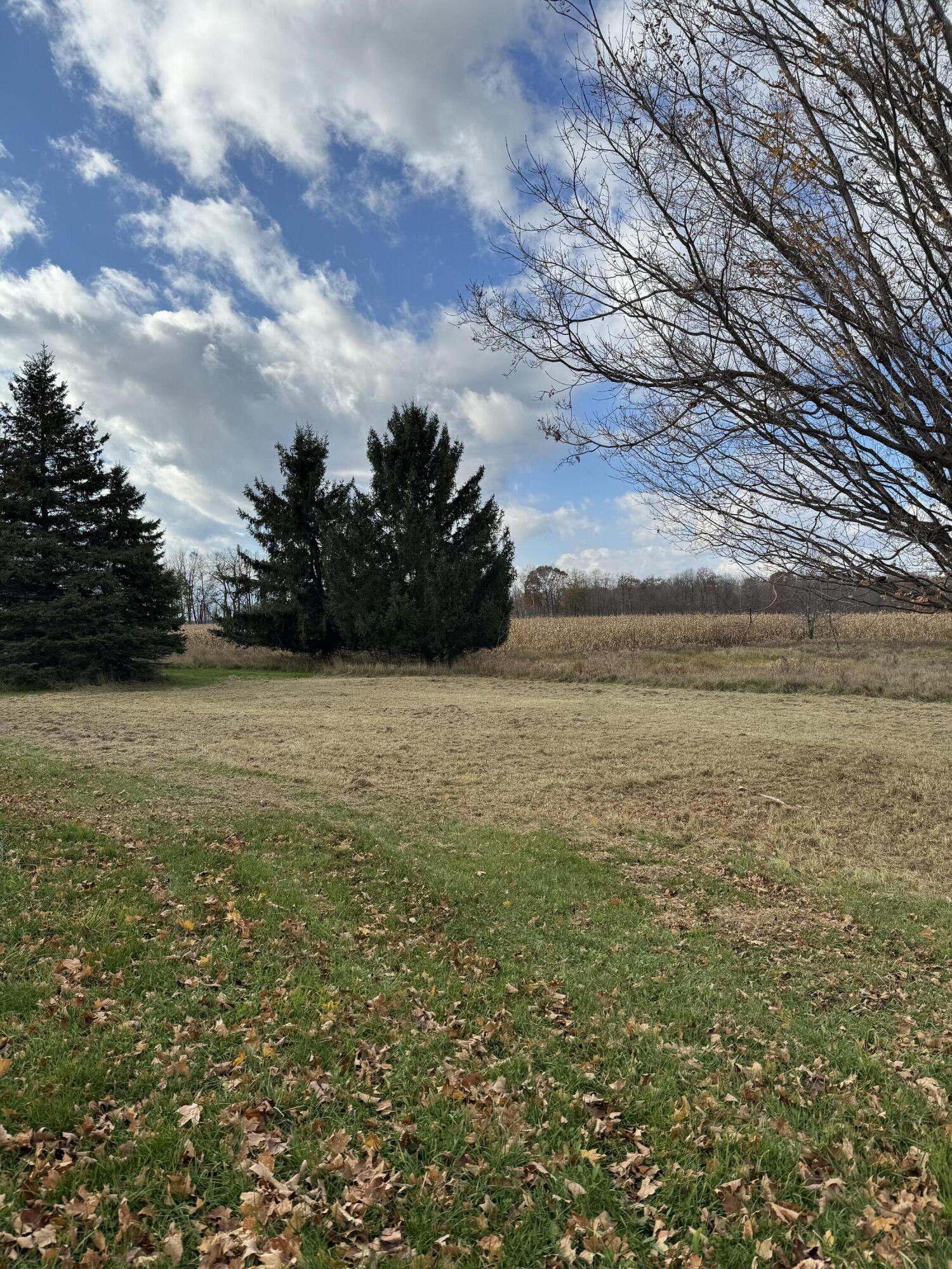 3135 North Bellamy Road Ionia, MI 48846 - Photo 13 of 17 IMG_1264