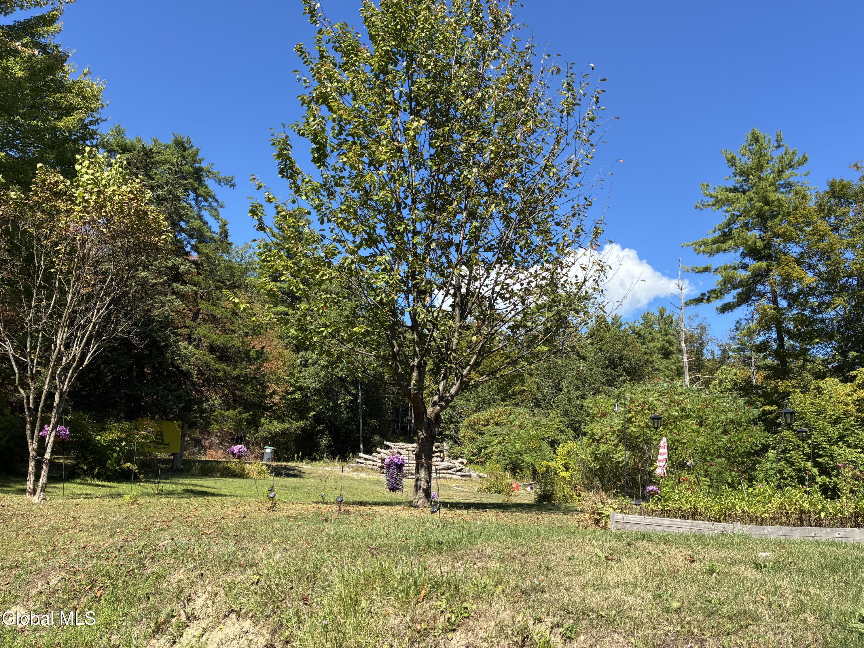 3 Maple Acres Way Dresden, NY 12819 - Photo 9 of 50 IMG_1553