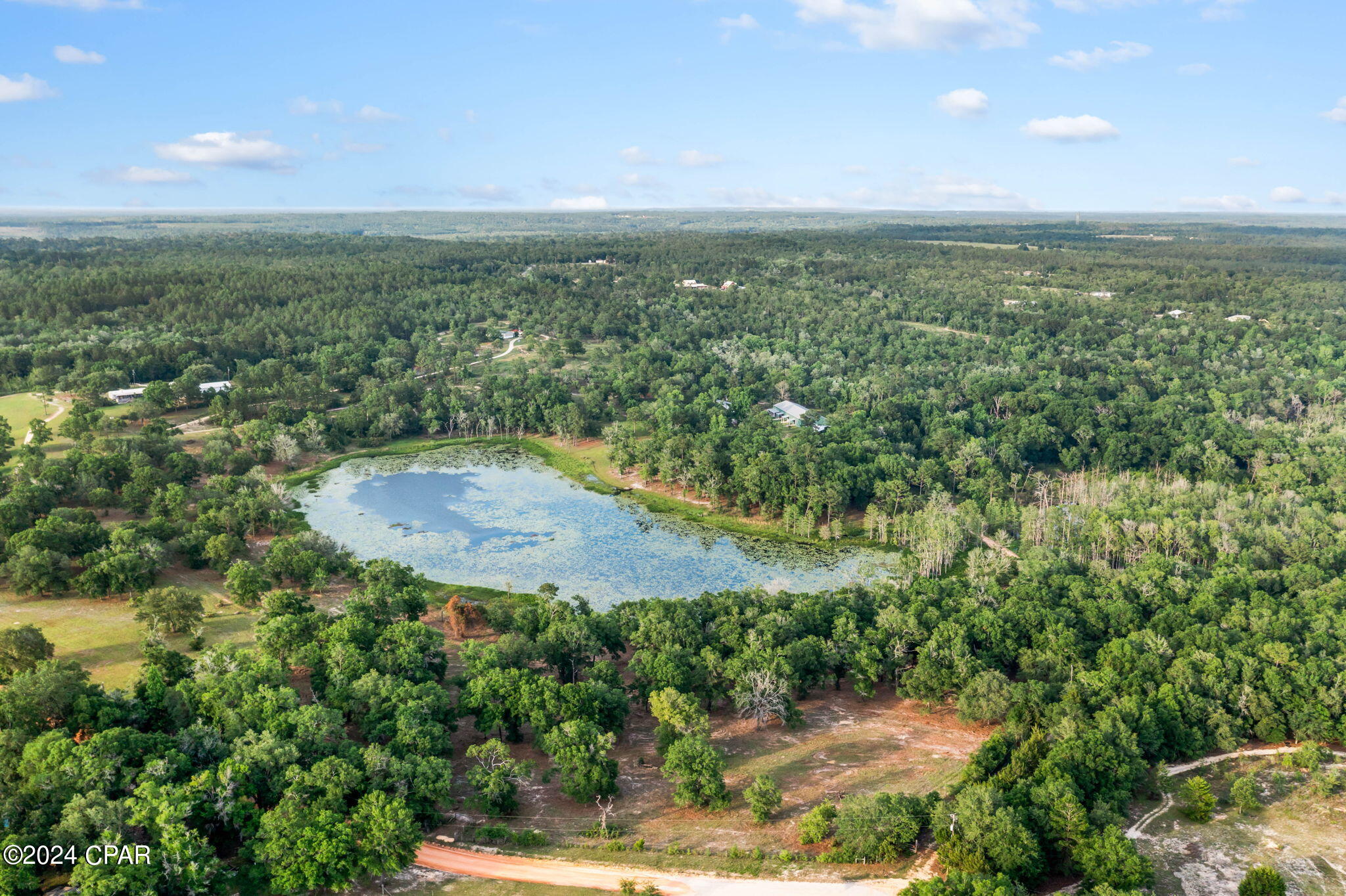 Tbd Twin Pond Road Vernon, FL 32462 - Photo 15 of 42 Gallery Image 15