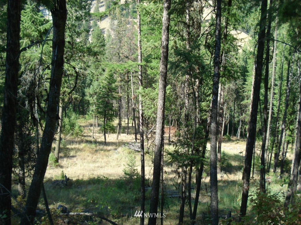 9999 Toroda Creek Road Curlew, WA 99118 - Photo 1 of 10 Gallery Image 1