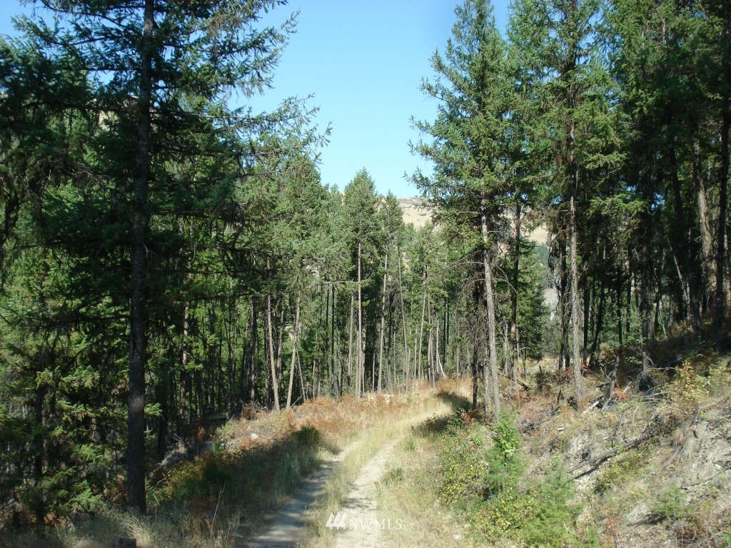 9999 Toroda Creek Road Curlew, WA 99118 - Photo 2 of 10 Gallery Image 2