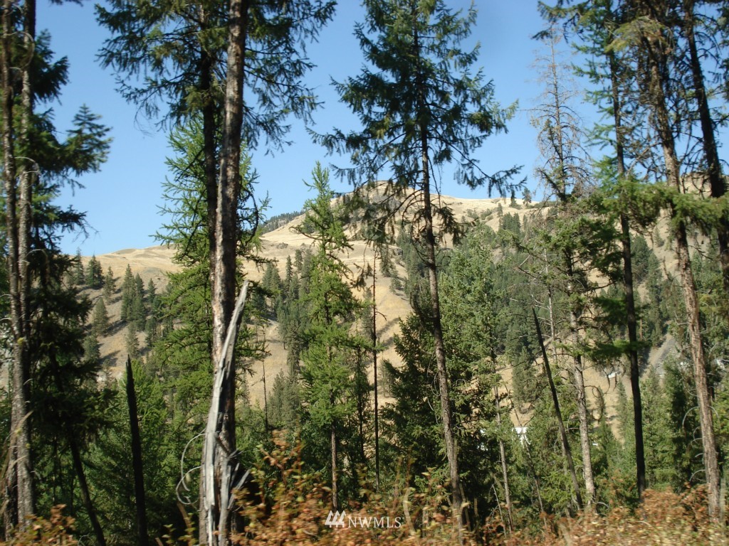 9999 Toroda Creek Road Curlew, WA 99118 - Photo 3 of 10 Gallery Image 3