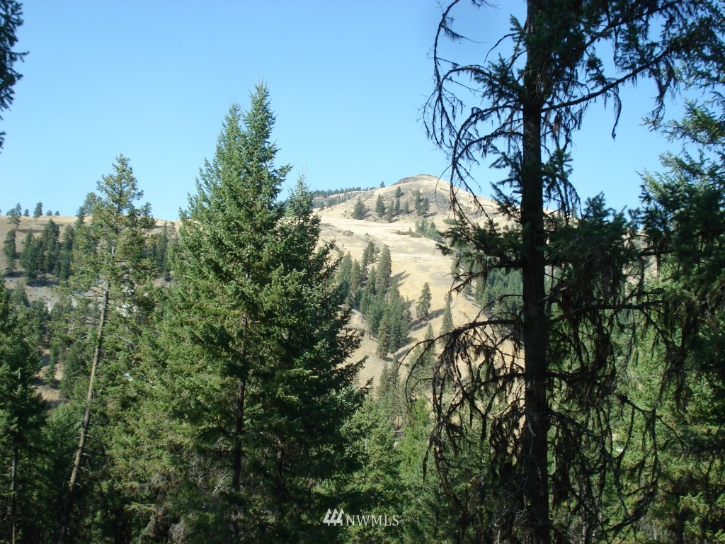 9999 Toroda Creek Road Curlew, WA 99118 - Photo 4 of 10 Gallery Image 4