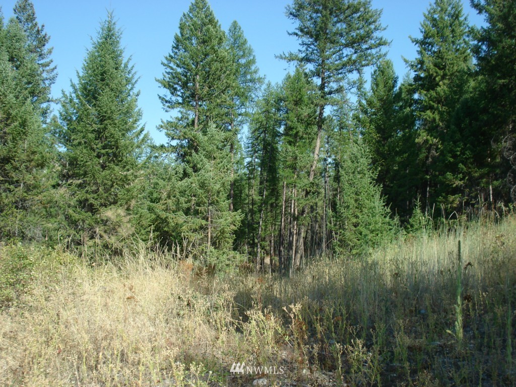 9999 Toroda Creek Road Curlew, WA 99118 - Photo 6 of 10 Gallery Image 6