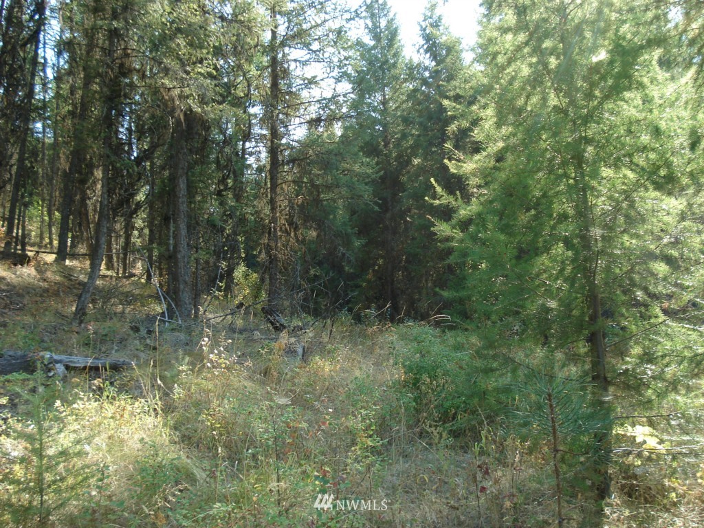 9999 Toroda Creek Road Curlew, WA 99118 - Photo 7 of 10 Gallery Image 7