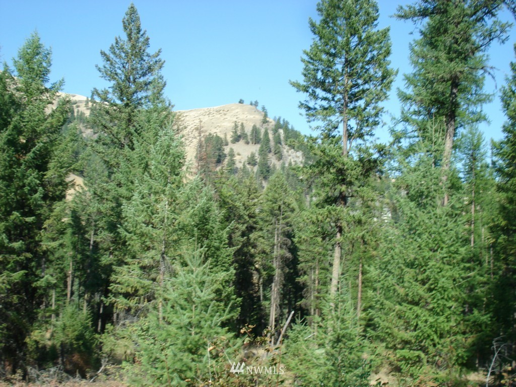 9999 Toroda Creek Road Curlew, WA 99118 - Photo 8 of 10 Gallery Image 8