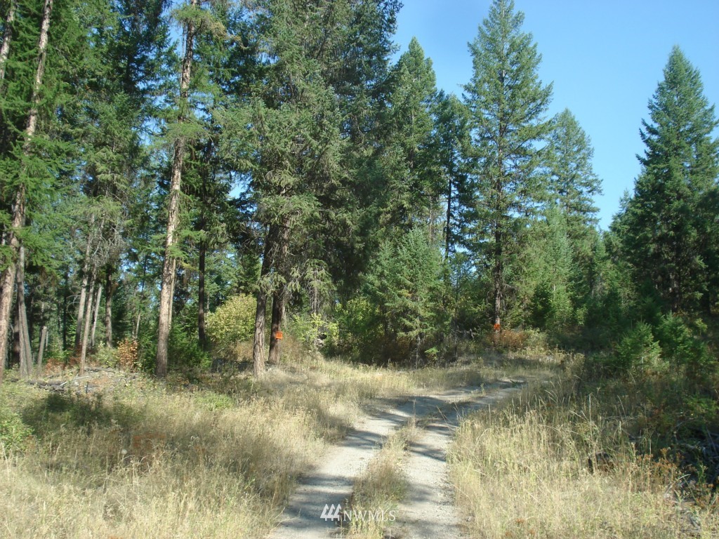 9999 Toroda Creek Road Curlew, WA 99118 - Photo 9 of 10 Gallery Image 9