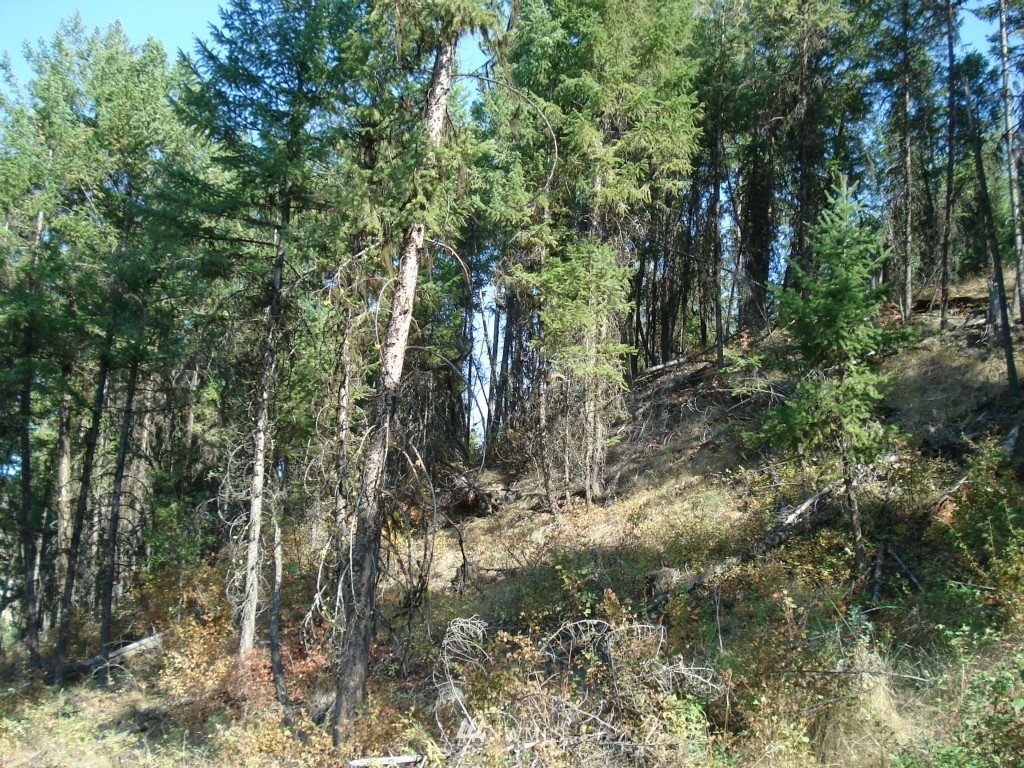 9999 Toroda Creek Road Curlew, WA 99118 - Photo 10 of 10 Gallery Image 10